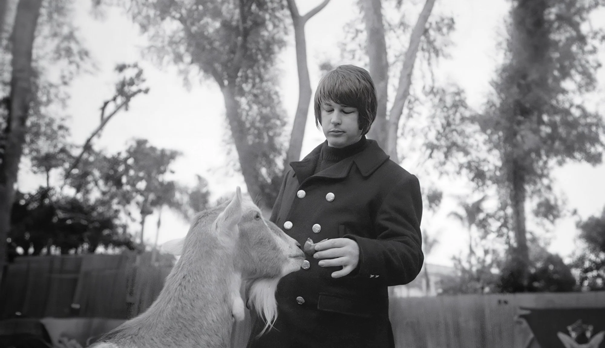 Brian Wilson